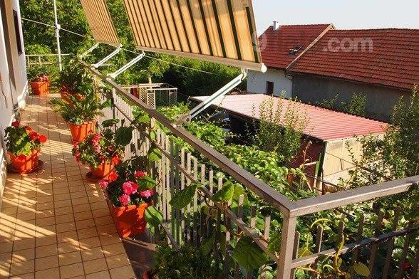 Agriturismo Zi Carmine Аджерола Екстериор снимка